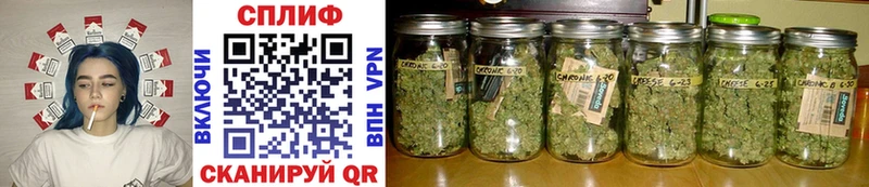 Купить Гашиш  Псилоцибиновые грибы  A-PVP  Канабис  Мефедрон  Cocaine  Ялуторовск